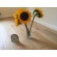 Kelston Mat Lacquer Finish Engineered Oak 12X100X1100-2000MM